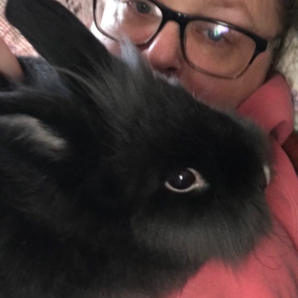 Meet your Posher, Emily - Picture 1 of 1